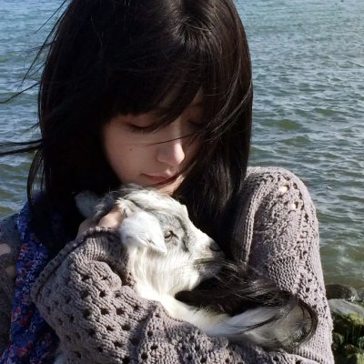燕子不再归来